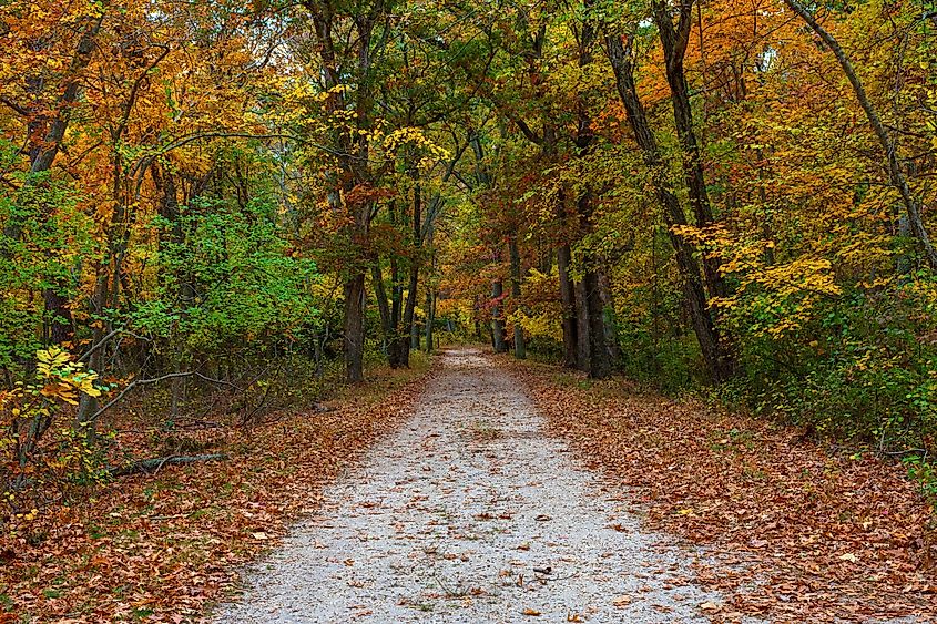 A hiking trail through the Autumn woods in Allaire State Park in New Jersey.