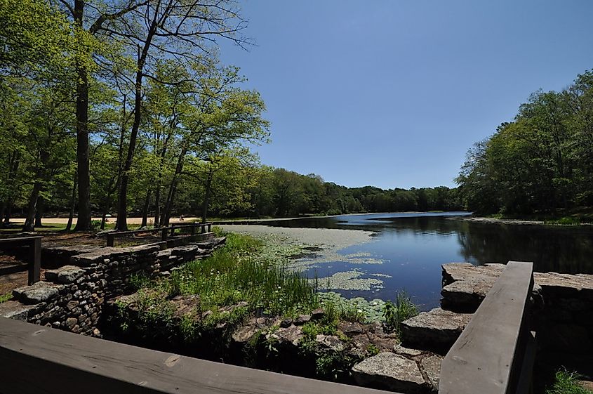 Day Pond, Day Pond State Park, Colchester, Connecticut.