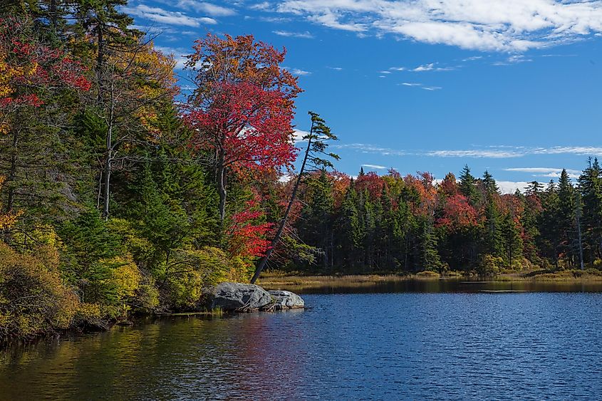 Red and yellow autumn colors are reflected in Adams reservoir, along the Molly Stark Trail, near Woodford Vermont