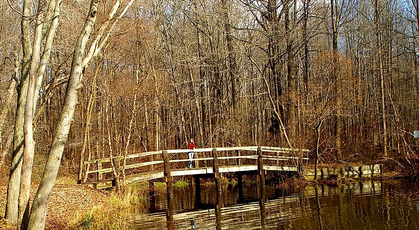 Lum's Pond State Park in Delaware.