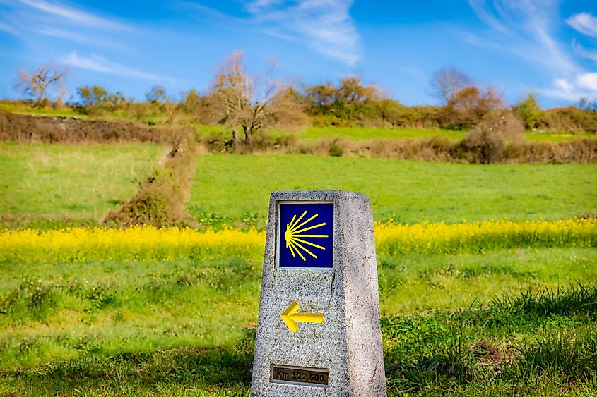 Way Marking Stone Post with Scallop Shell Symbol and Yellow Arrow Sign in the Spring Field outside Sarria, Galicia on the Trail of the Way of St James Pilgrimage Trail Camino de Santiago