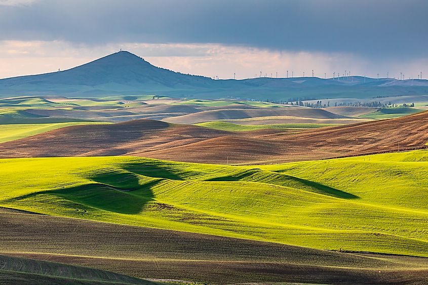 The Palouse near Pullman, Washington.