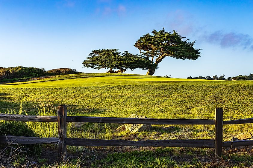 Cypress Point Club golf course along Pebble Beach.