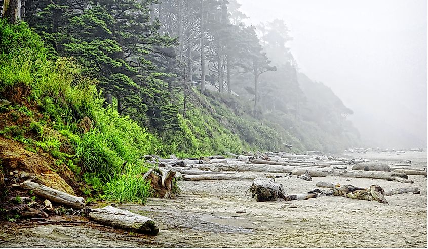 The rugged Oregon coastline.