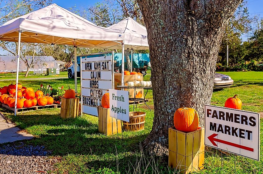 Seasonal produce at a farmers' market in Fairhope, Alabama.