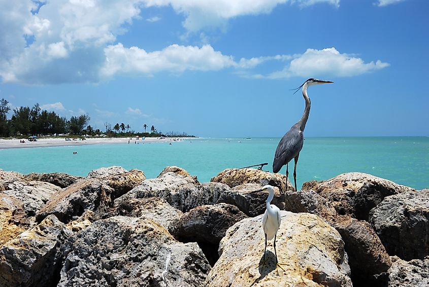 captiva island