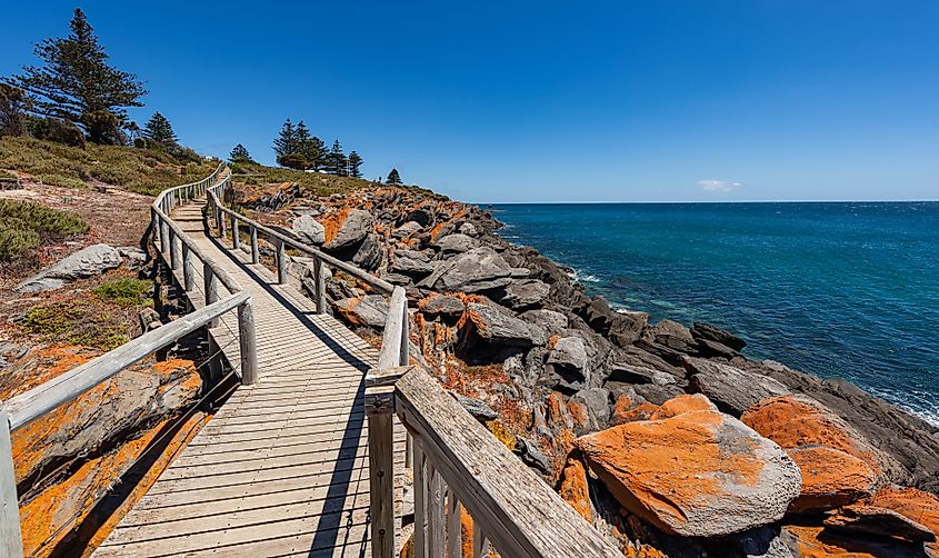 Wooden walkway in Penneshaw, South Australia.