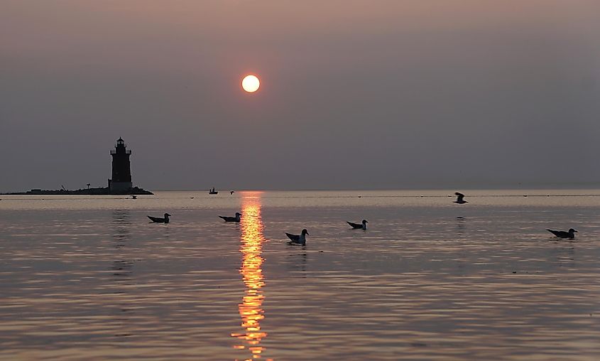 Silhouette of the lighthouse and wild birds during the sunset at Cape Henlopen State Park, Lewes, Delaware