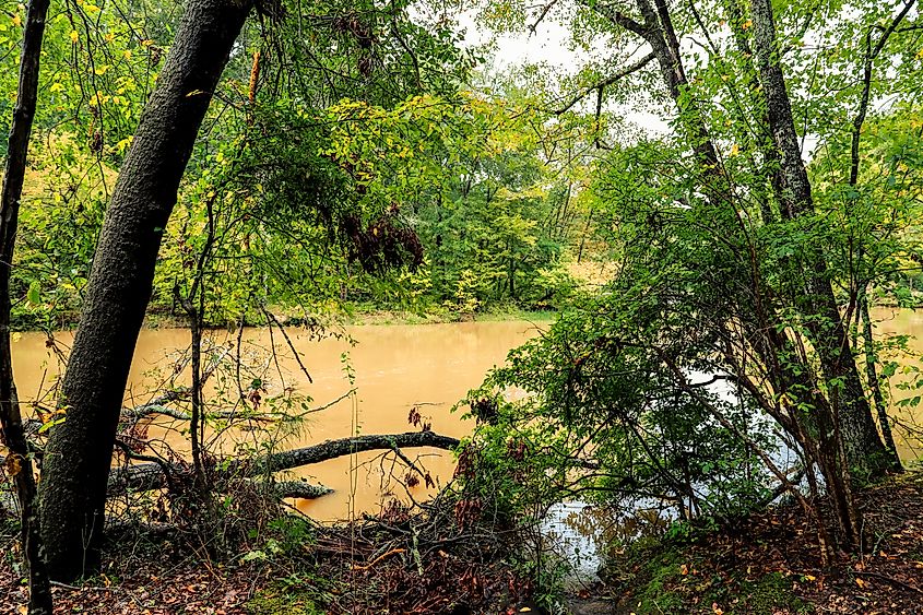 Sweetwater Creek State Park in Lithia Springs. Credit: Marcus E. Jones