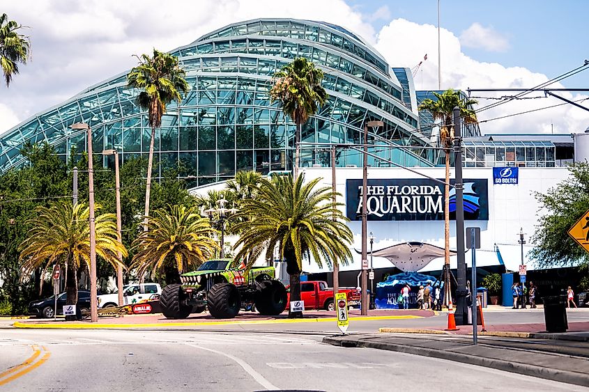 The Florida Aquarium in Tampa, via Andriy Blokhin / Shutterstock.com