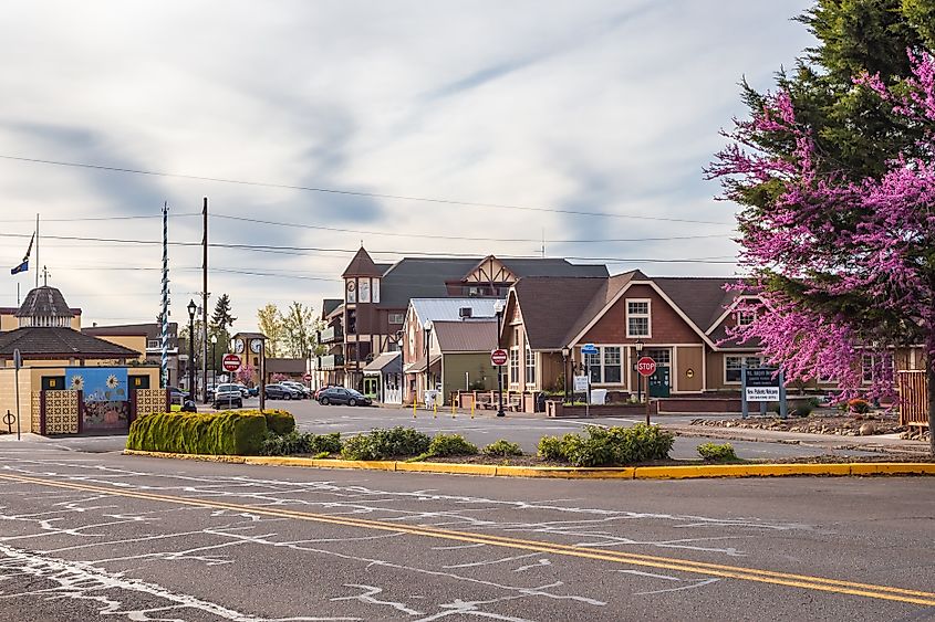 Commercial buildings in Mount Angel city center.