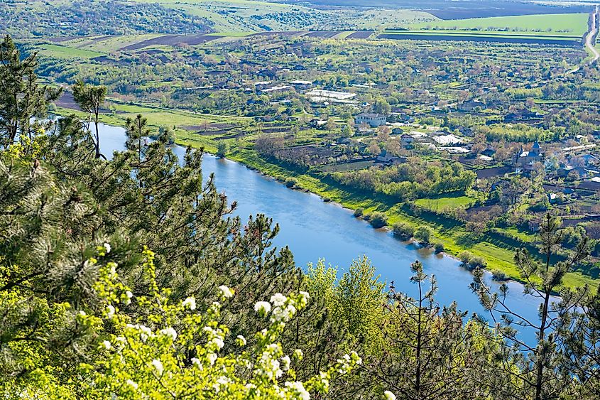 Dniester river