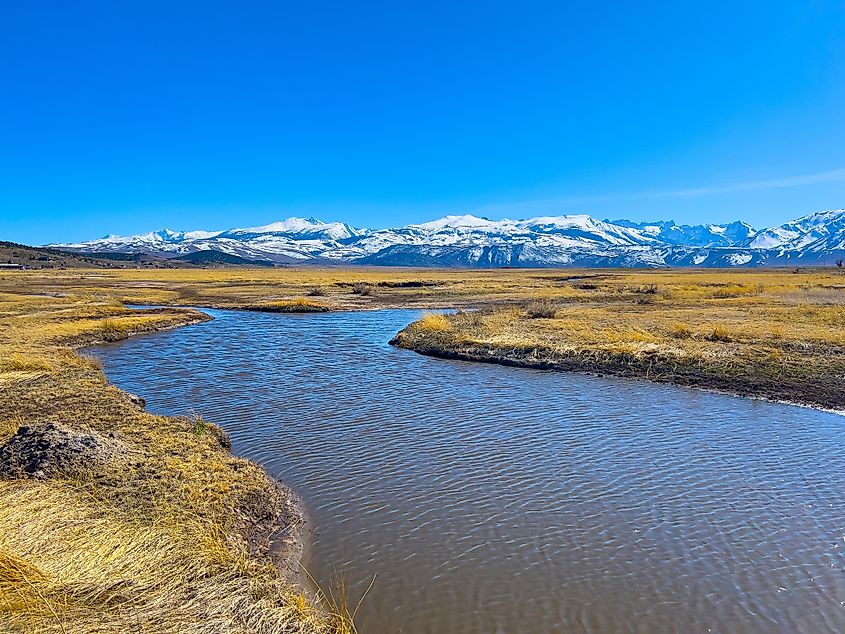 East Walker River in Bridgeport, California.