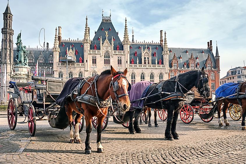 Horses on Grote Markt Brugge, the main attraction of Bruges, Belgium