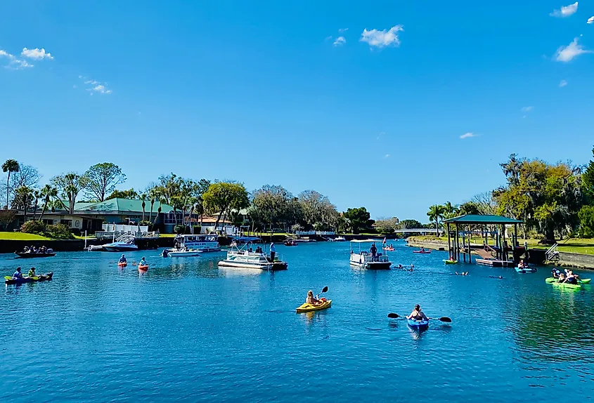 People enjoying aquatic activities in Crystal River, Florida.