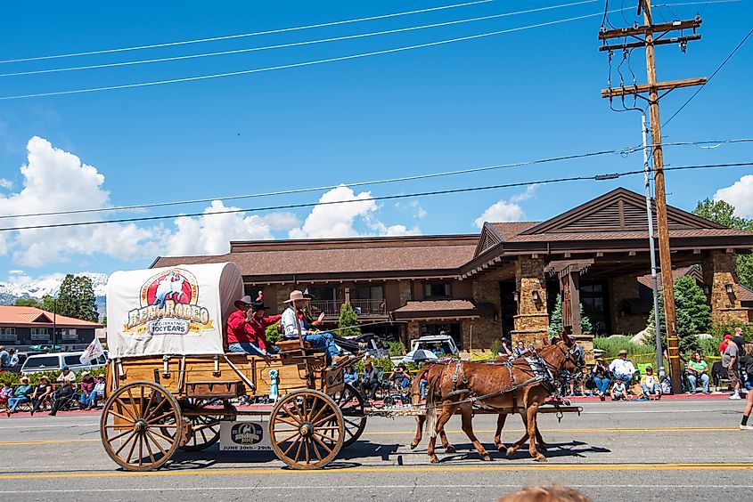 Mule Day Parade in Bishop, California.