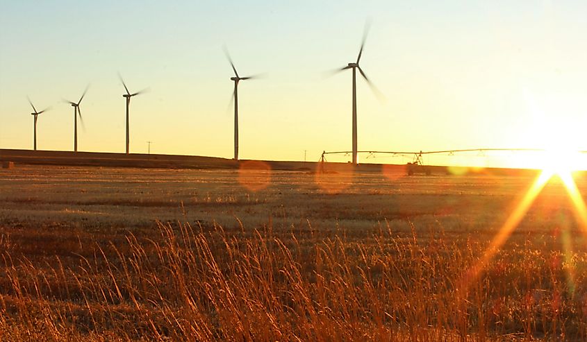 Windmills in wheat field outside of Burley, Idaho