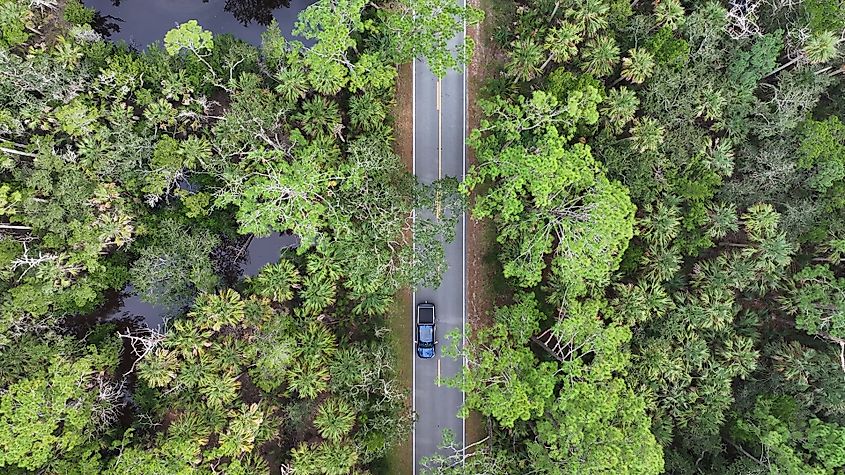 4K Drone View Of The Ormond Beach Scenic Loop Drive, Florida.