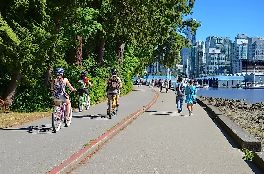 Stanley Park visitors