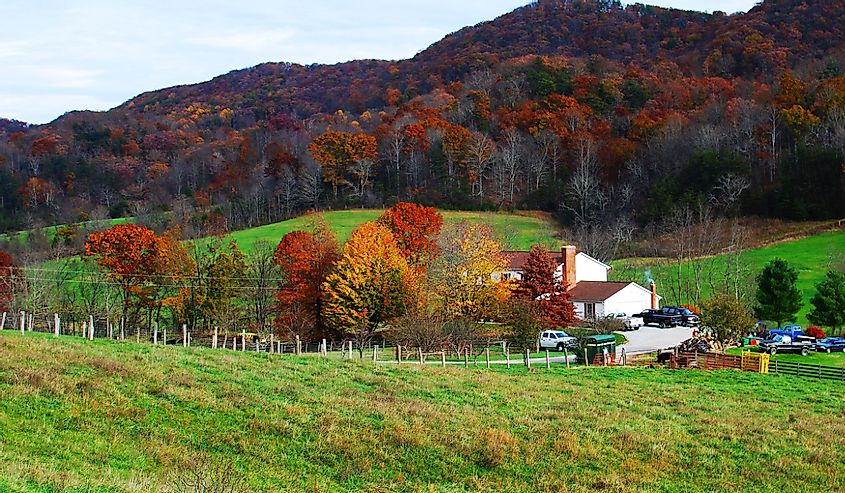 Colorful fall trees in Catawba valley road near Virginia Tech and Blacksburg in southern Virginia