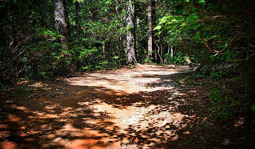 Dukes Creek Falls Trail in White County, Georgia