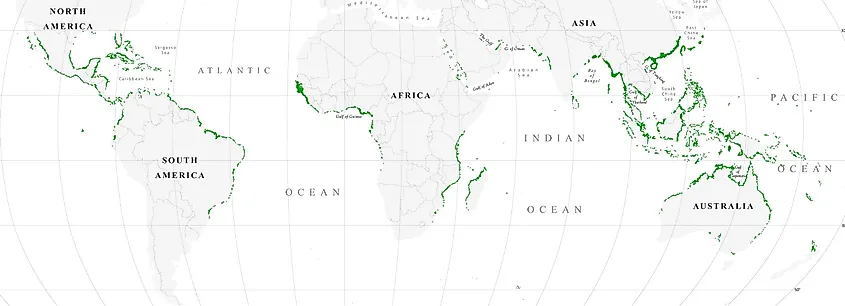 Mangroves world map