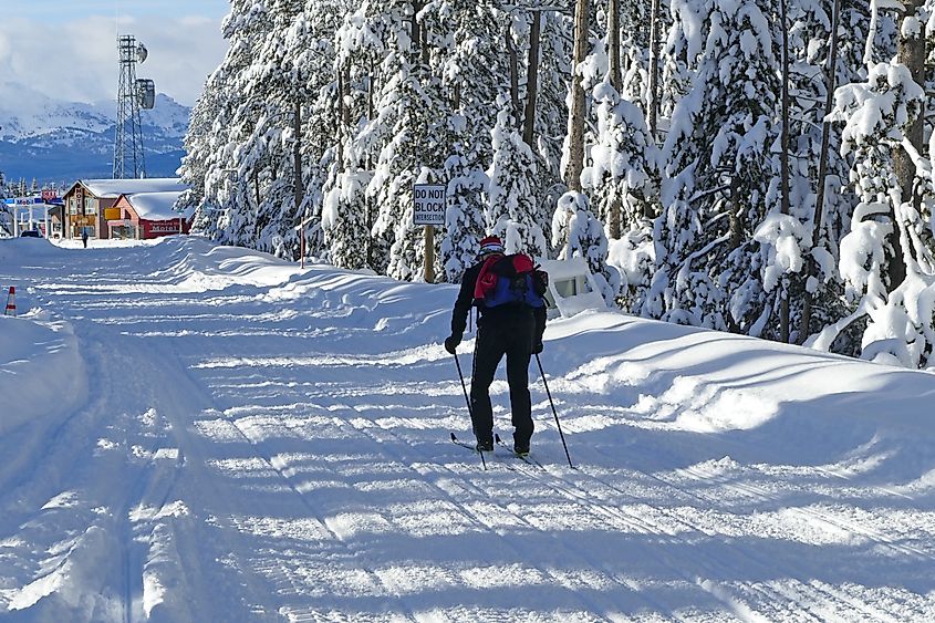 West Yellowstone, United States - January 20 2018: Wilderness cross-country skier near National Park Entrance. Milan Sommer via Shutterstock
