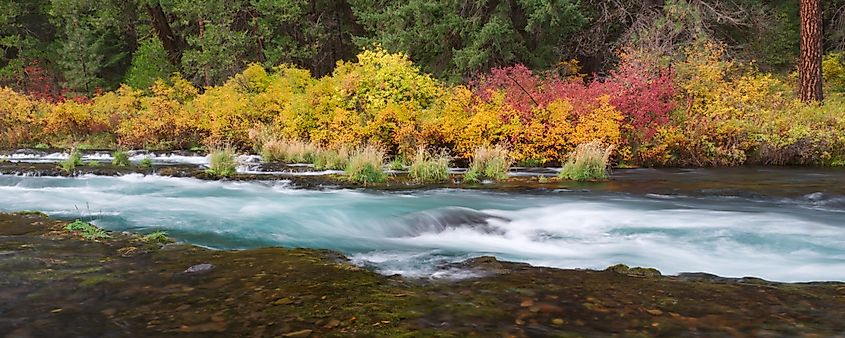 Metolius River in the fall