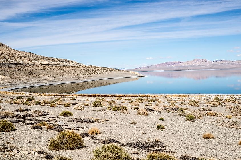 Walker Lake