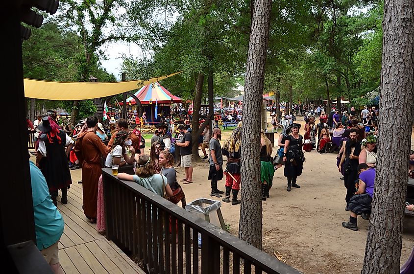 Sherwood Forest Faire attendees in costume. 