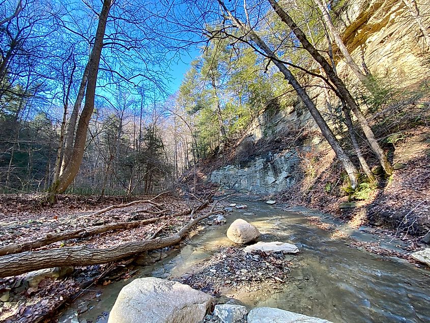 A glimpse of the wilderness at the Pine Hills Nature Preserve, Indiana