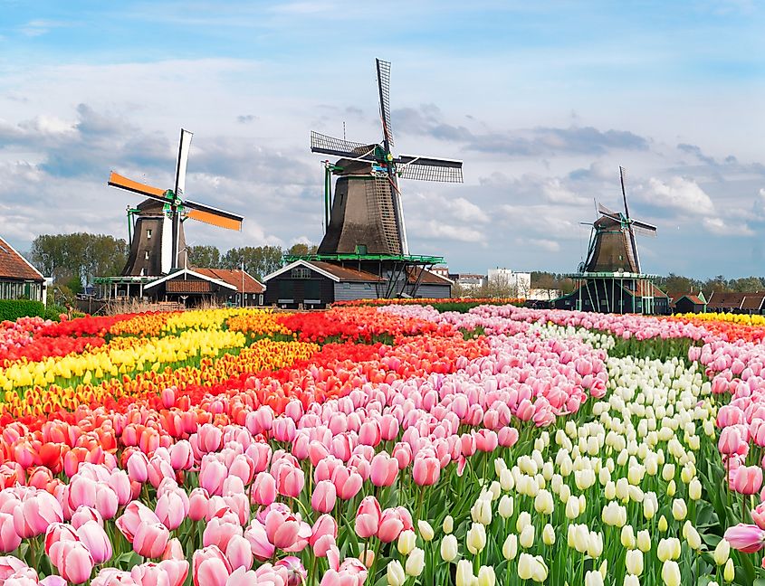 Zaanse Schans, North Holland, Netherlands