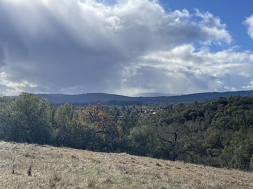 Scenic view along the Sonoma Overlook Trail.