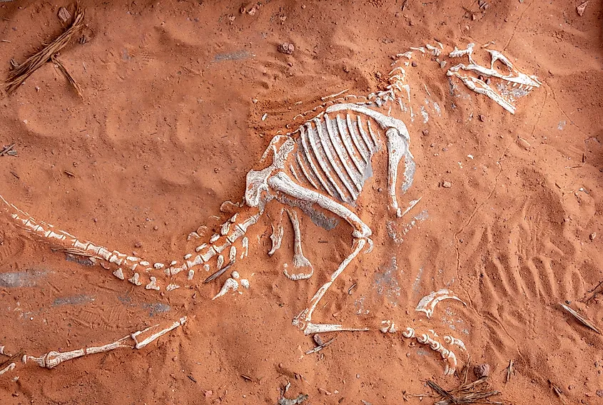 Dinosaur skeleton in sand near Moqui Cave Paleontology Museum in southern Utah.