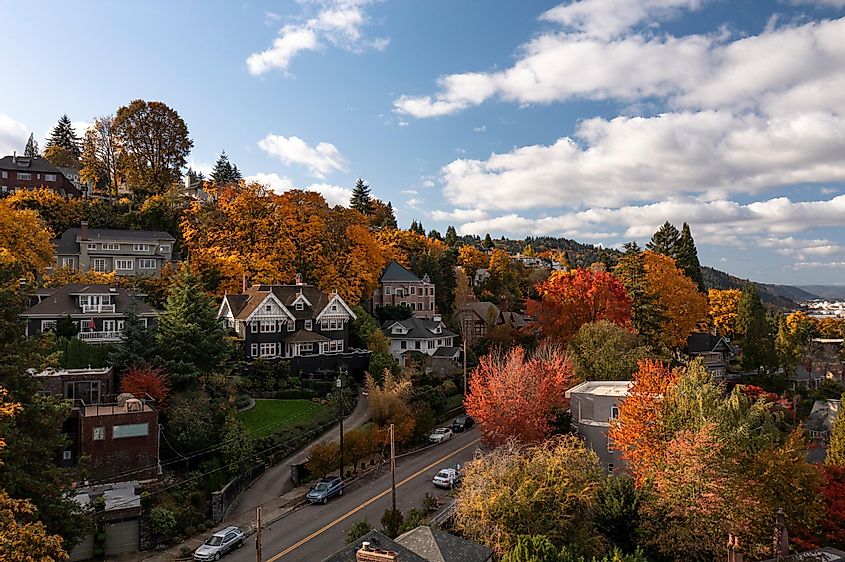 Aerial view of a Portland neighborhood in fall