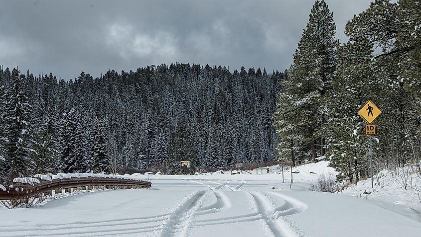 Greer, Arizona, in winter.