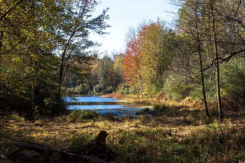 October at Muscatatuck National Wildlife Refuge, near Seymour, Indiana