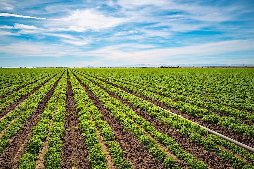 Imperial Valley, Southern California