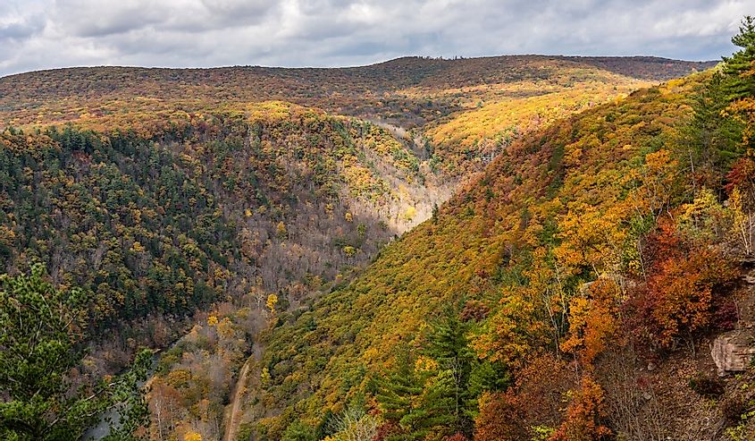 The sun shines through the clouds on to the fall colors in the Grand Canyon of Pennsylvania.
