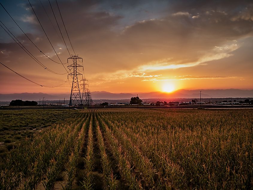 Sunset over field in Fort Lupton.