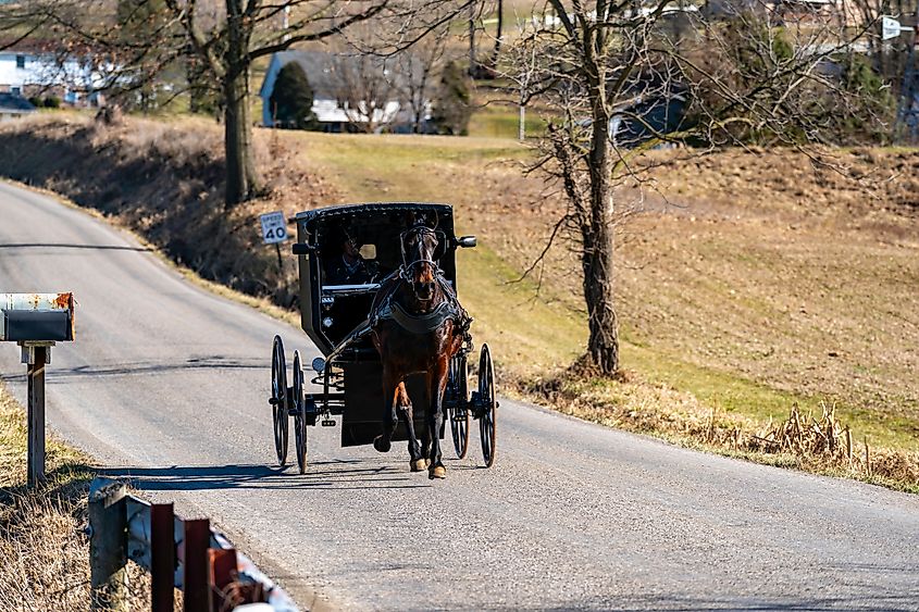 Amish buggies in Ohio’s Amish Country.