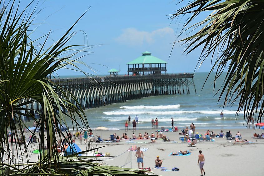 The Folly Beach Pier framed by a palm tree in Folly Beach, South Carolina
