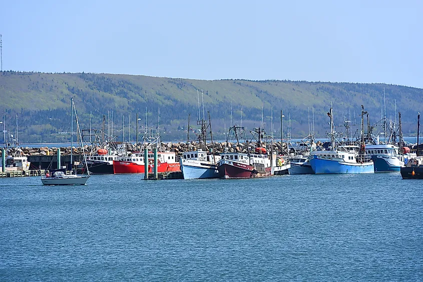 A line of colorful fishing boats, including red and blue, docked at a harbor against a backdrop of green hills and clear blue sky, creating a serene coastal scene.
