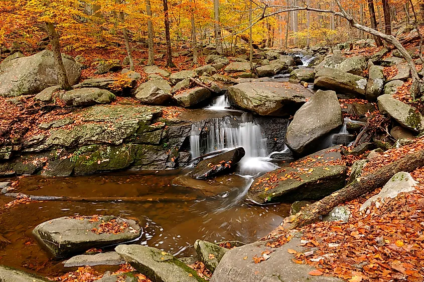 Trout Brook, Hacklebarney State Park, NJ.