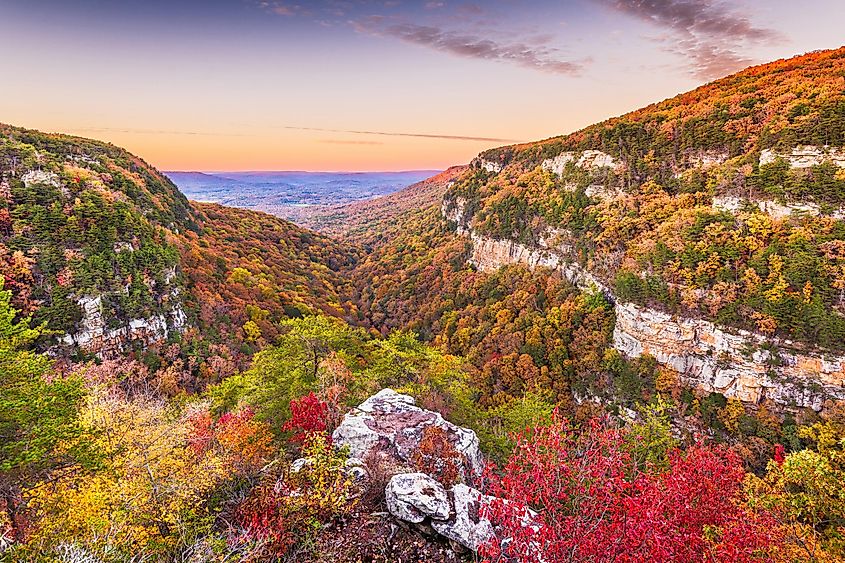 Stunning fall foliage in Cloudland Canyon State Park