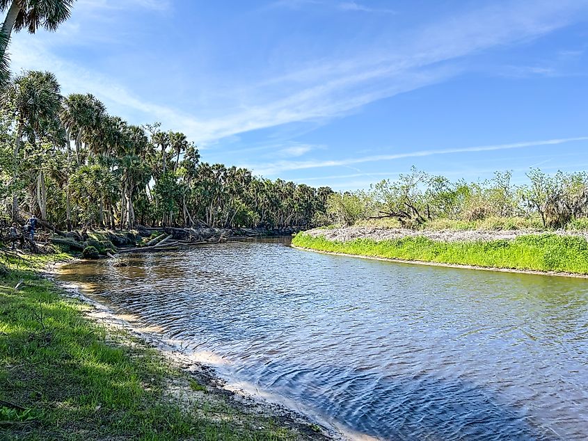 Myakka River State Park, Florida.