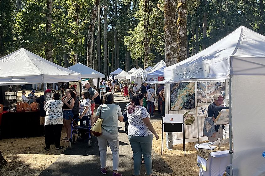 People browsing art at the Silverton Fine Arts Festival.