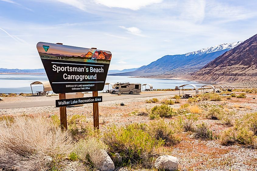 Sportsman's Beach Campground in the Walker Lake Recreation Area.