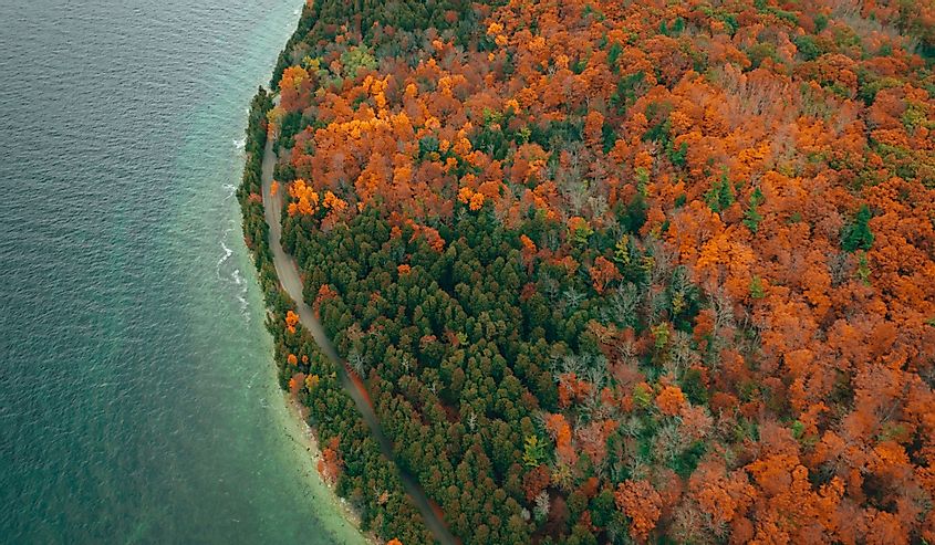 Aerial view of autumn forest in Peninsula State Park, Wisconsin.