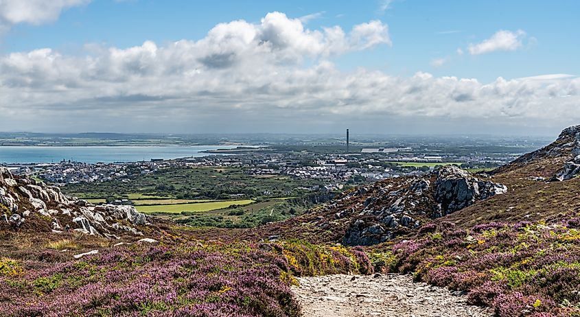 Views around Holyhead Breakwater park with the heather and gorse in flower